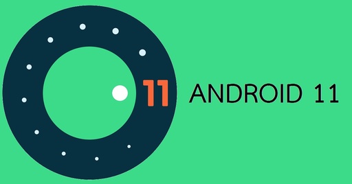 [A90W025GL0501] Cipherlab RK25 Android 7 to 11 LTE GMS version license